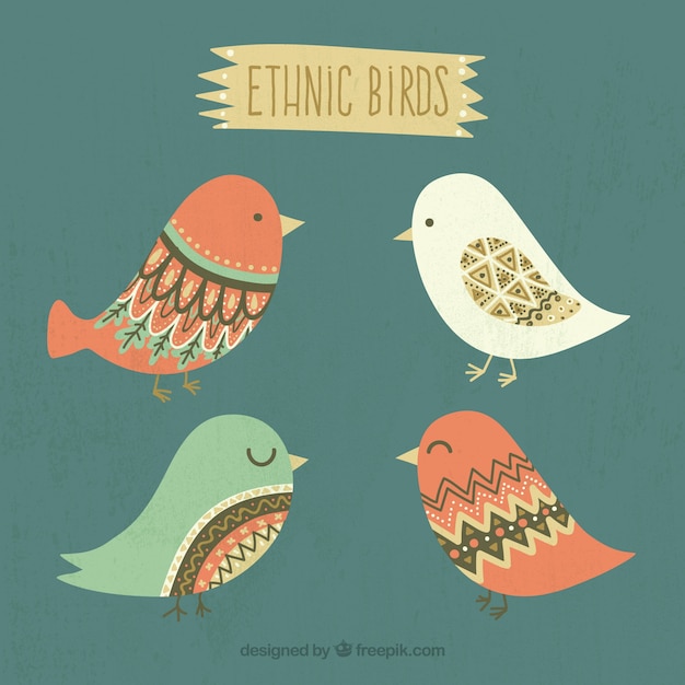 Bonitos pájaros étnicos 