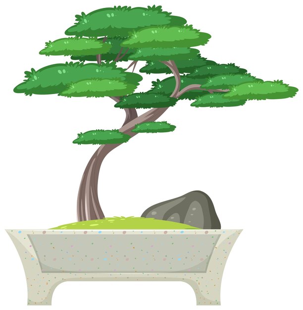 Bonsai en maceta sobre fondo blanco.