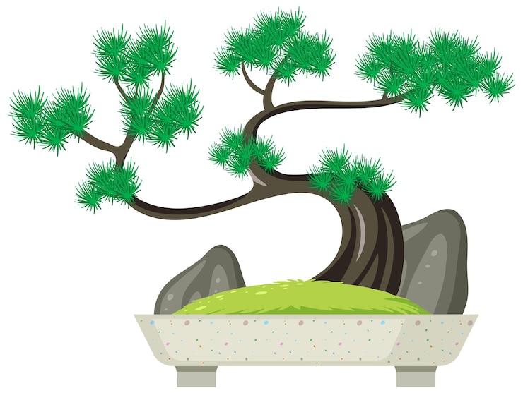 Vector gratuito bonsai en maceta sobre fondo blanco.