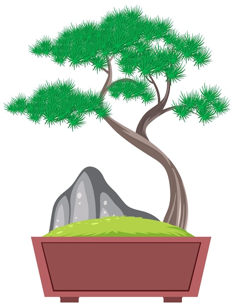 Bonsai en maceta sobre fondo blanco.