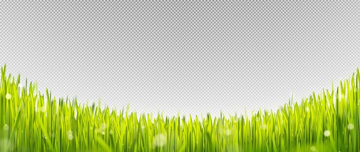 Vector gratuito borde de césped verde realista con luz solar