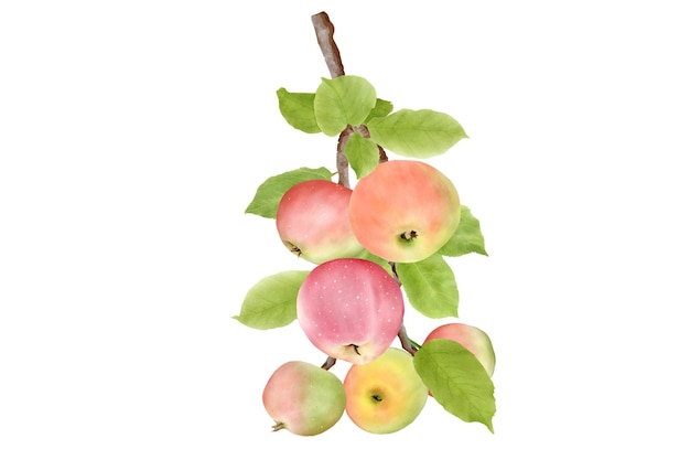 borde de corona de manzana dibujada a mano y fondo de ramo