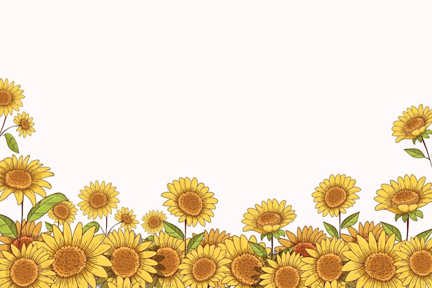 Borde de girasol dibujado a mano con espacio de copia
