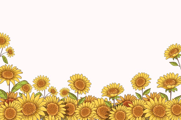Borde de girasol dibujado a mano con espacio de copia