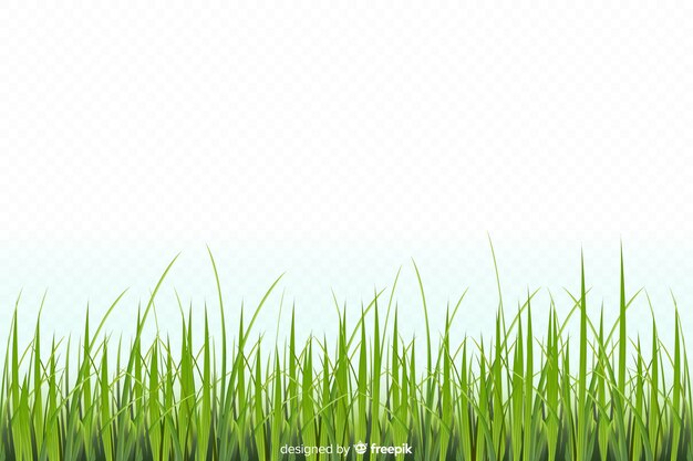 Borde de hierba verde diseño realista
