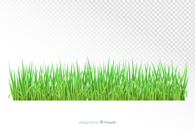 Borde hierba verde diseño realista