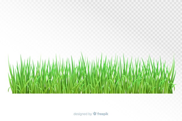 Borde hierba verde diseño realista