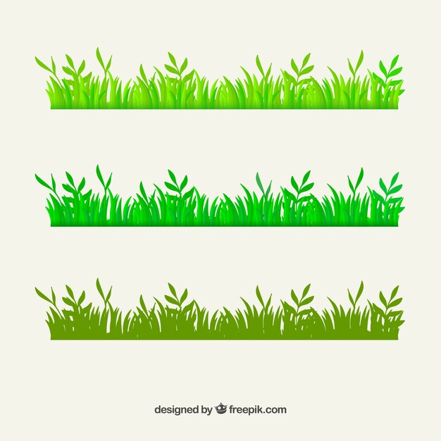 Bordes de hierba verde