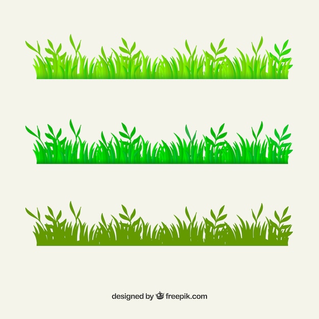 Bordes de hierba verde