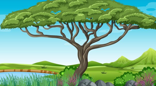 Bosque al aire libre de la naturaleza