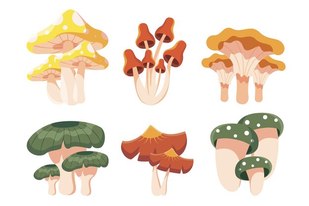 Bosque colorido colección salvaje de una variedad de hongos comestibles y setas en estilo de dibujos animados Ilustración vectorial