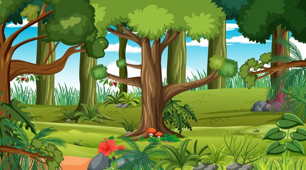 Bosque en la escena del paisaje diurno