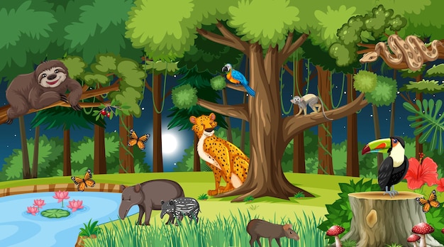 Vector gratuito bosque en la escena del paisaje nocturno con diferentes animales salvajes.