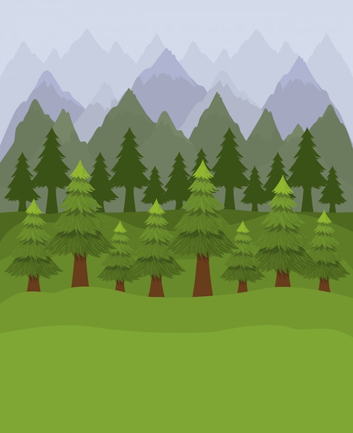 Vector gratuito bosque de pinos