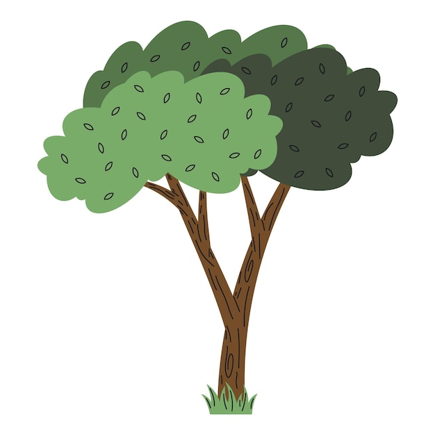 Vector gratuito bosque de plantas de arboles