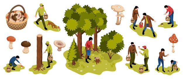 Bosque de recolectores de hongos isométricos conjunto de iconos aislados con cestas de árboles y personas que buscan ilustraciones de vectores de hongos