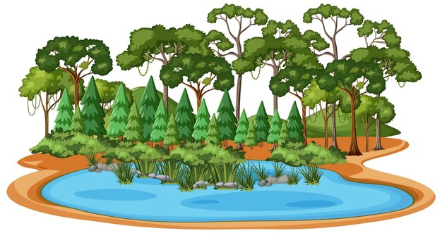 Bosque sereno con estanque tranquilo