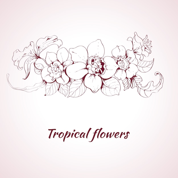 Vector gratuito bosquejo de flores tropicales