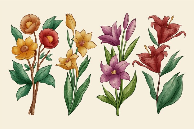 Botánica flor pack vintage diseño