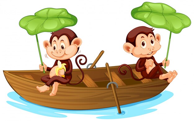 Bote de remos de dos monos en el río