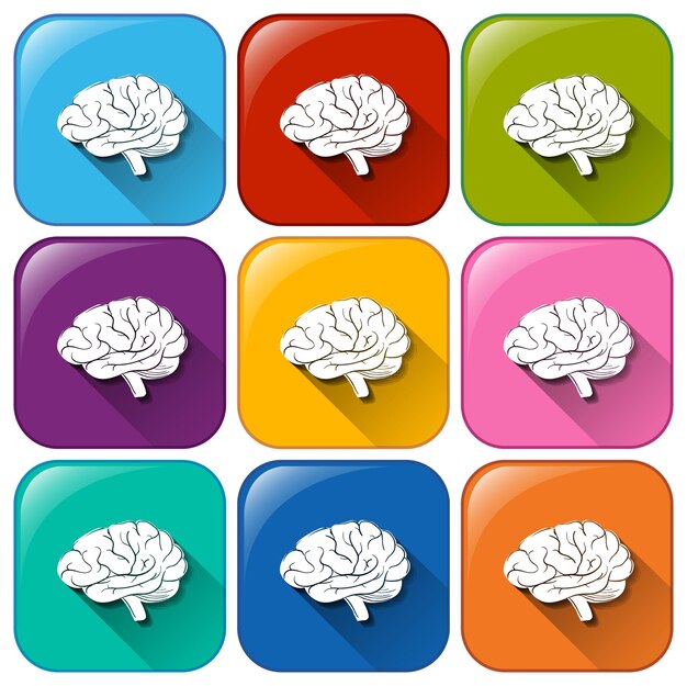 Botones con órgano cerebral