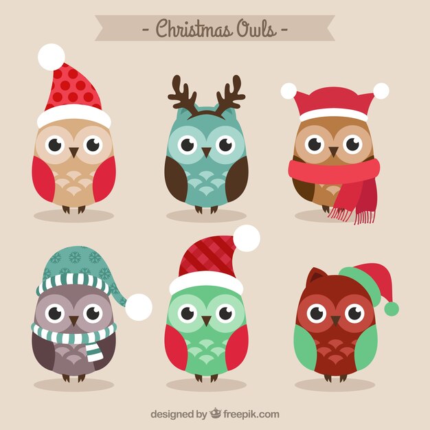 Búhos lindos de navidad