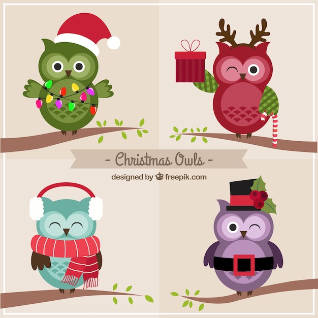 Vector gratuito búhos lindos de navidad