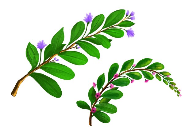 Bunvh plantas decorativas diseño de hoja verde.