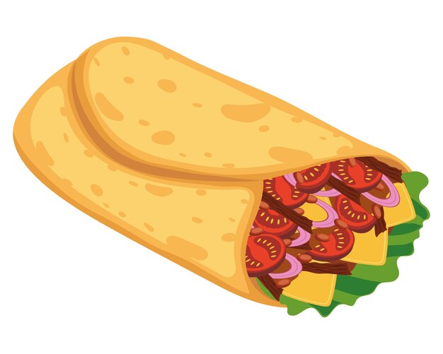 burrito deliciosa comida mexicana