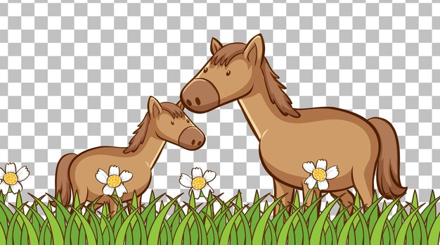 Caballo en el campo de hierba sobre fondo transparente