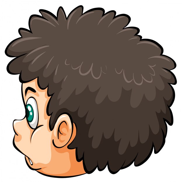 Una cabeza de niño