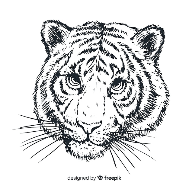 Vector gratuito cabeza de tigre