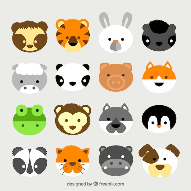 Cabezas de animales lindos