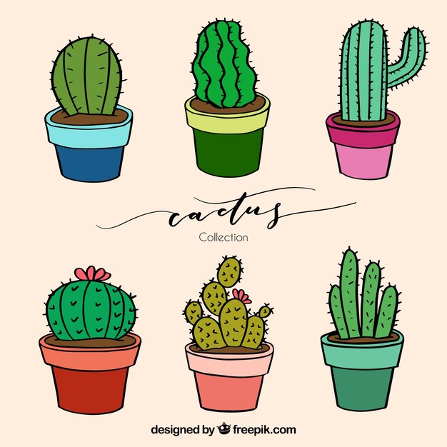 Cactus adorables con estilo de dibujo a mano