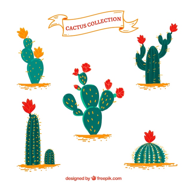 Cactus divertido con flores de colores