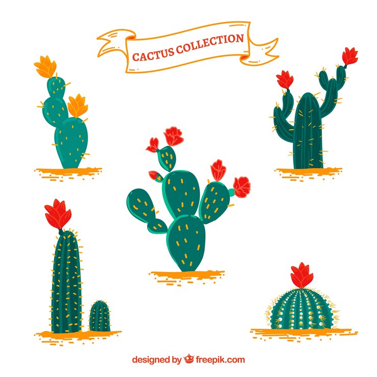 Vector gratuito cactus divertido con flores de colores