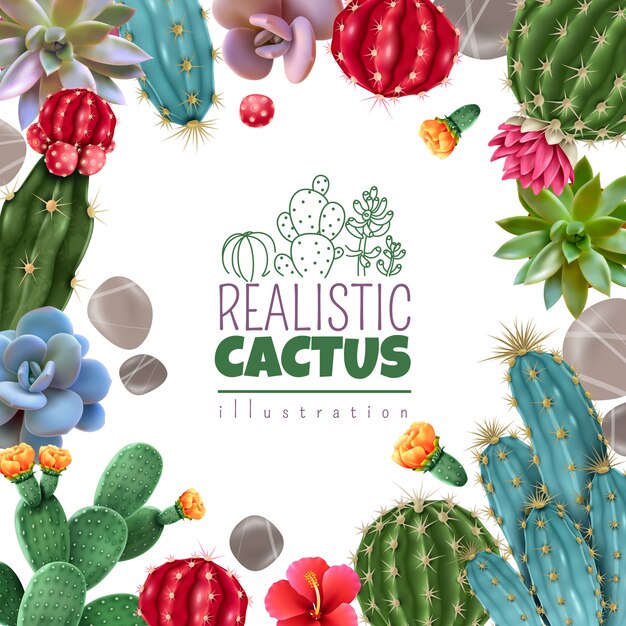 Cactus florecientes y suculentas populares variedades de fácil cuidado plantas decorativas de interior realista marco cuadrado colorido