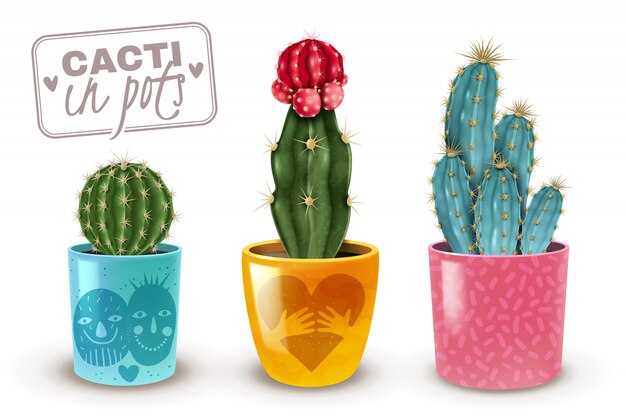 Cactus en macetas decorativas coloridas conjunto realista de 3 plantas de interior populares de fácil cuidado primer aislado