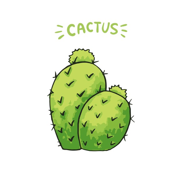 Cactus Mexicano
