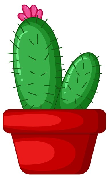 Cactus en una olla aislada