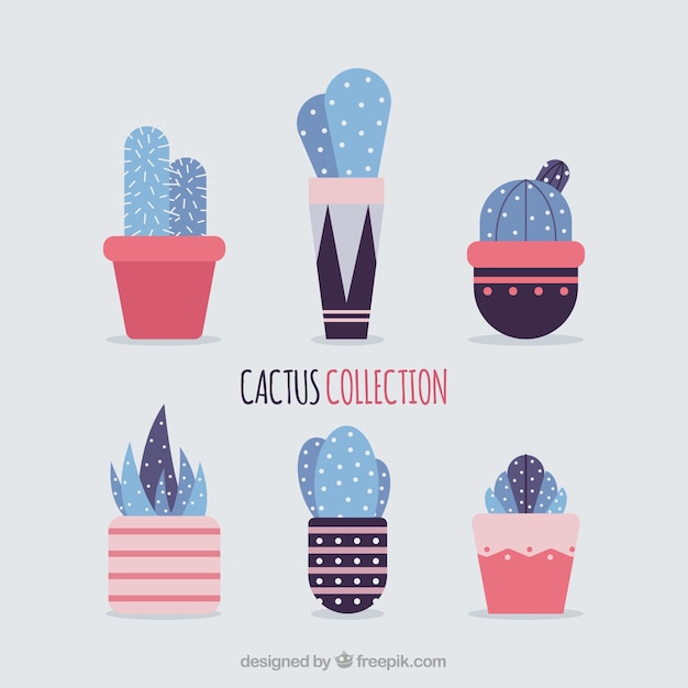 Cactus planos con estilo adorable