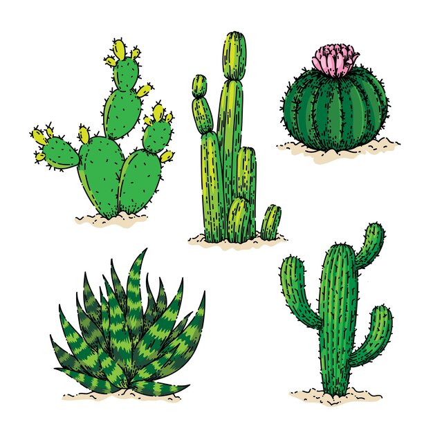 Cactus postre dibujo vector dibujado a mano
