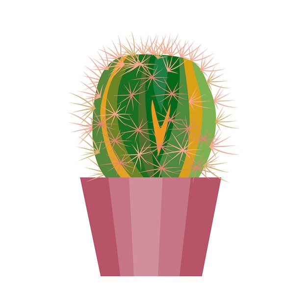 Cactus verde en una olla rosada