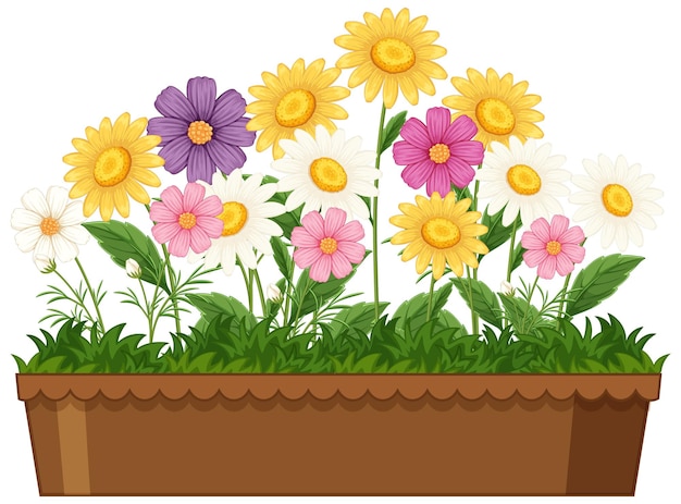 Una caja de flores coloridas con flores vibrantes