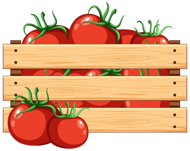 Vector gratuito caja de madera aislada llena de tomates frescos