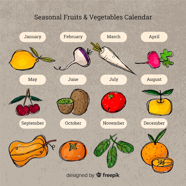 Vector gratuito calendario dibujado a mano de verduras y frutas estacionales