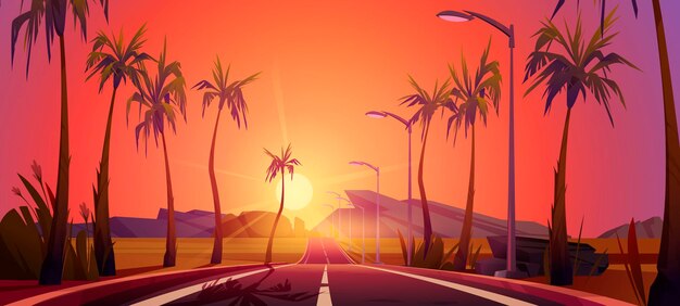 Camino con palmeras por lados, puesta de sol, perspectiva