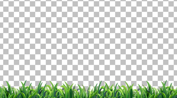 Vector gratuito campo de hierba simple sobre fondo transparente