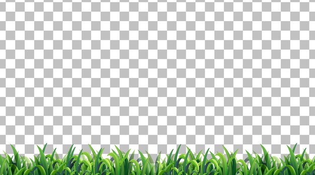 Campo de hierba simple sobre fondo transparente