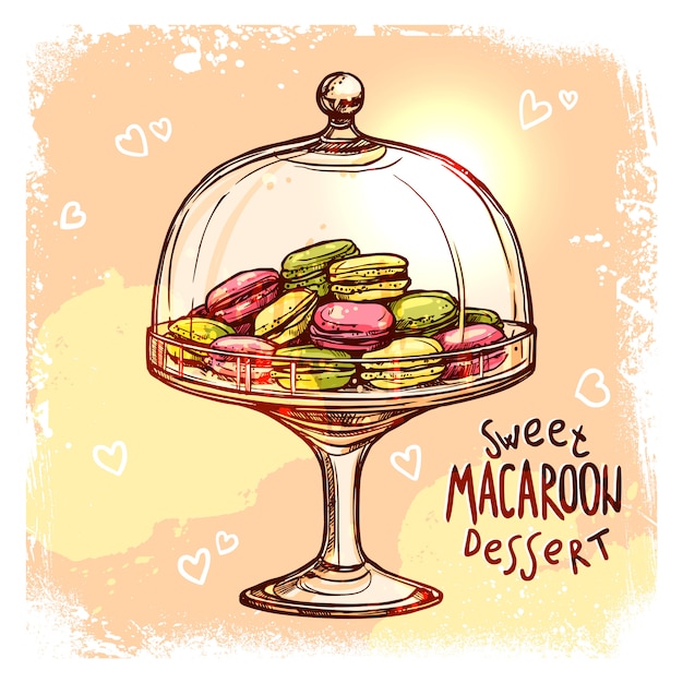 Vector gratuito candy jar sketch